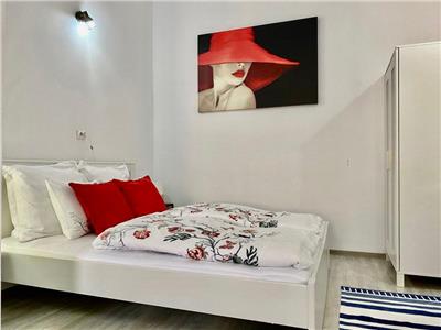 Studio modern de inchiriat curte Sibiu Ultracentral